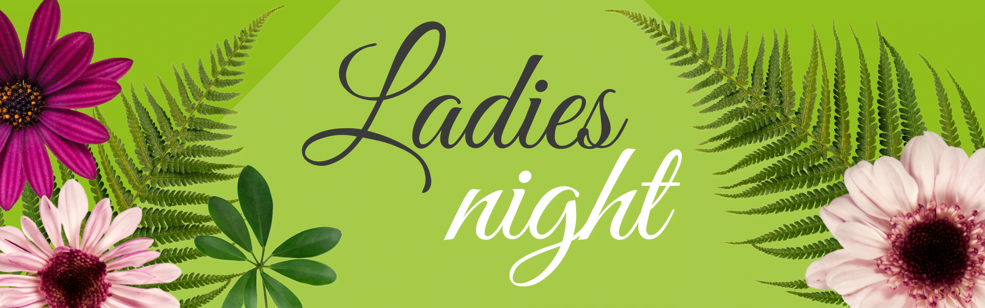 BijHoen-1920×600-Ladies-Night-website-header-1