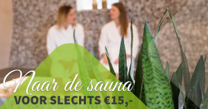 Sauna aanbieding